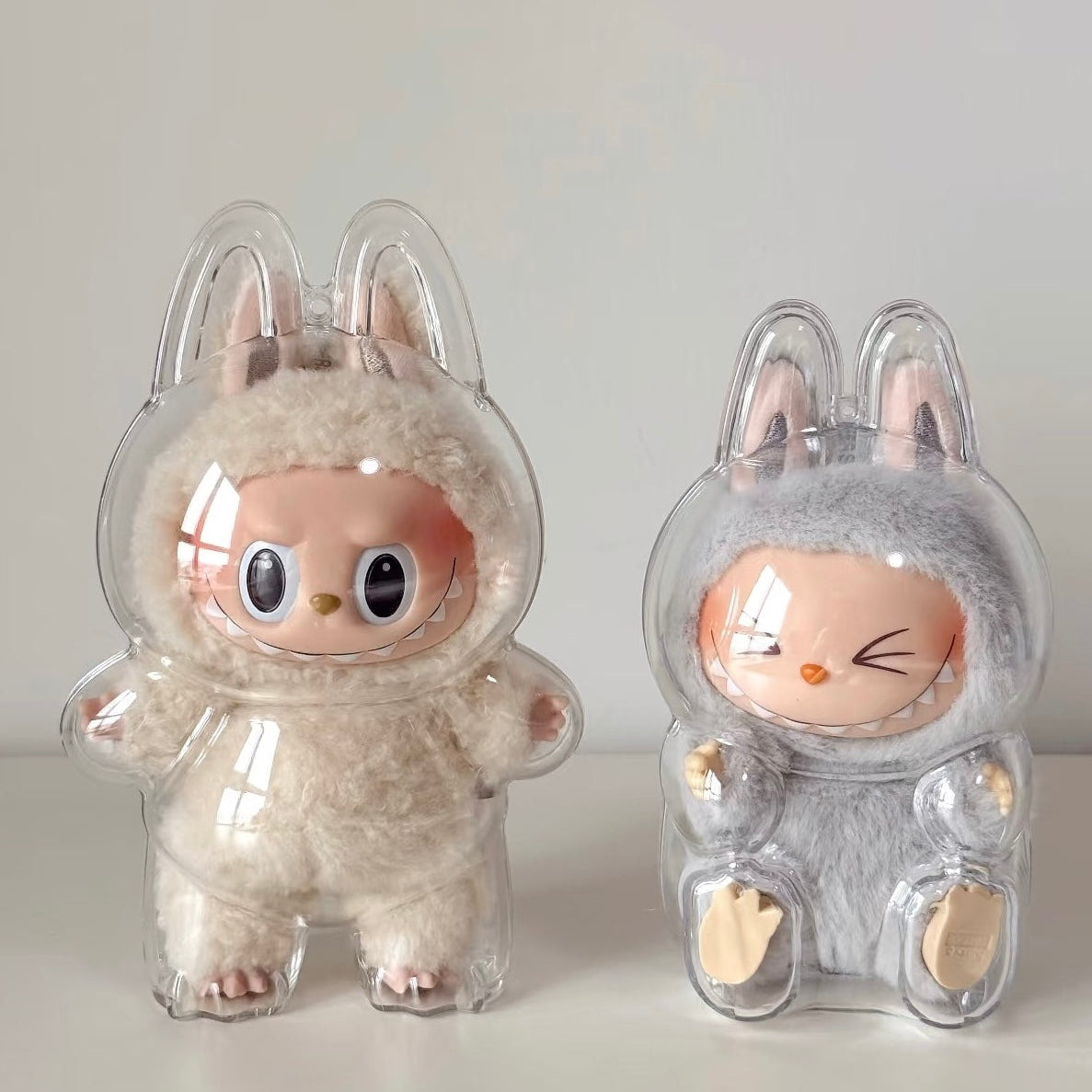 ๐ธ Protective Case Clear Dustproof Cover with Keychain